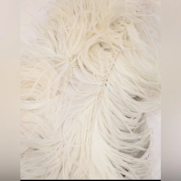 ✨✨✨HOST PICK✨✨✨ OFF-WHITE Leather & Ostrich Feathers Bum Bag Large Pre-Owned - Picture 10 of 12